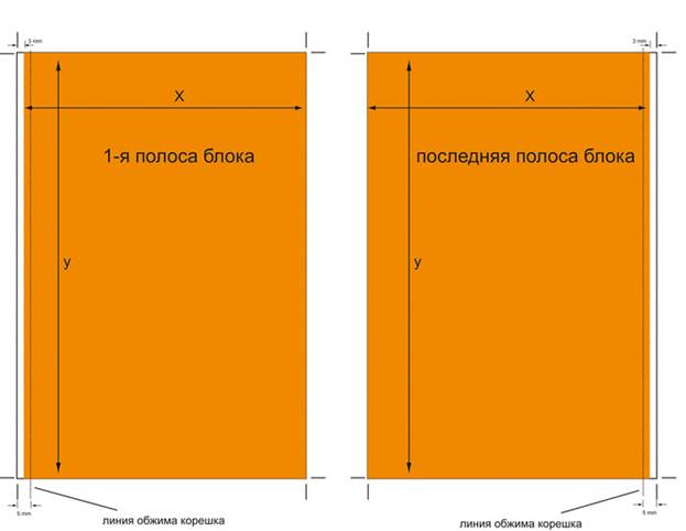 Количество полос 1. Полоса в книге это. Полосы и страницы в полиграфии. Полосы издания книги. Полоса в типографии это.